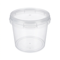 3L Storage Container with Lid and Carry Handle, Clear PP Bucket for Household and Garden Use, Multipurpose Storage Bin with S