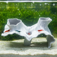 Double Opening Cave Hiding Area Pet Decor Natural Look for Terrarium