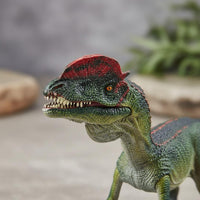 Hand Painted Dilophosaurus Figure Realistic Dinosaur Model Prehistoric Dinosaur Figurine for Boys, Kids, Collectors, Desk Decoration, Classroom