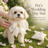 Vintage Lace Bow Pet Bib Collar for Cats and Small Dogs, Princess Wedding Decoration