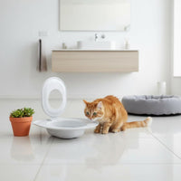 Cat Toilet Training Seat Upgraded Design Cat Toilet Seat Guide for Bathroom