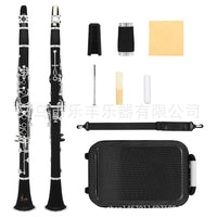 SLADE Clarinet 17 Keys, ABS Body, Nickel-Plated Keys, Black ABS Case