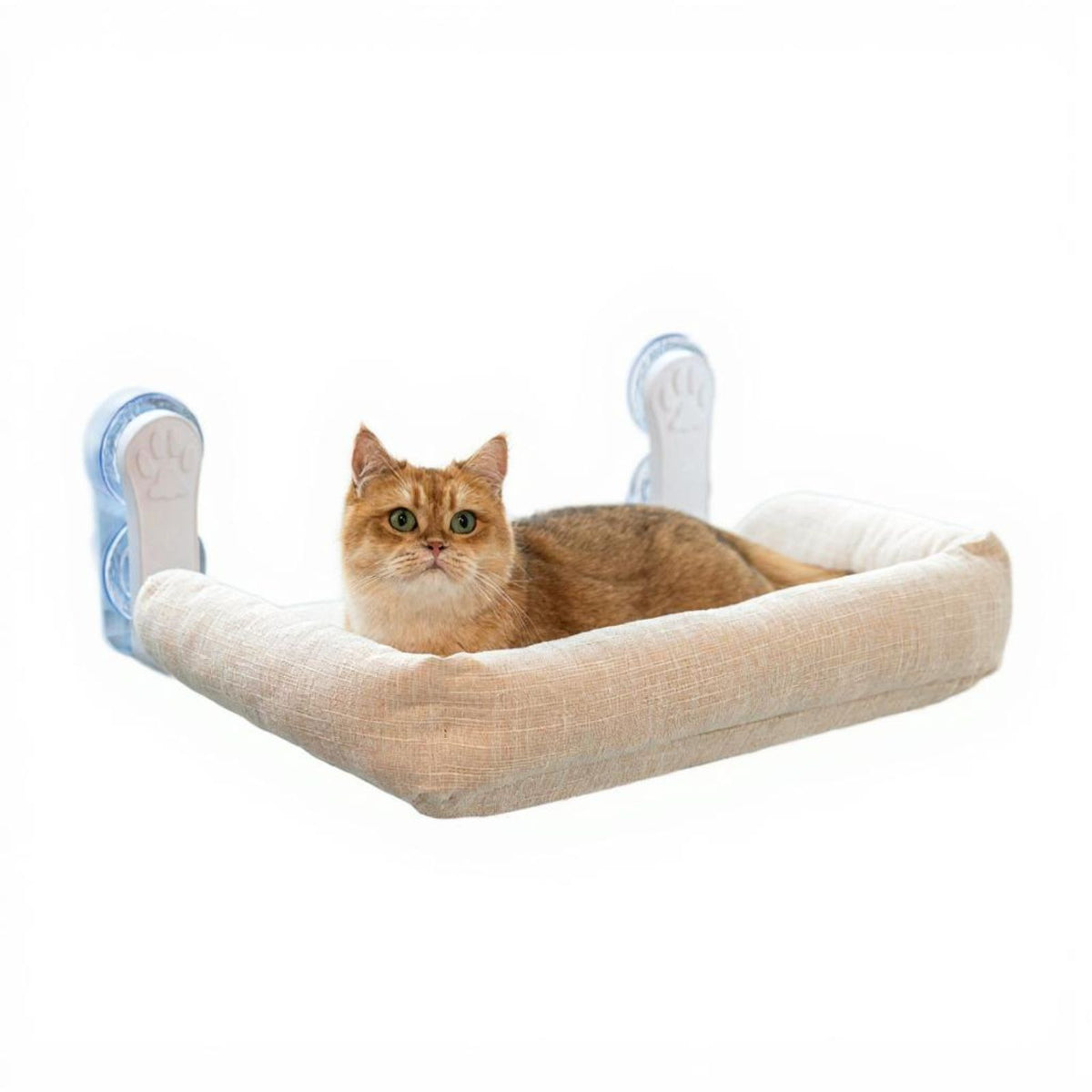 Cat shelf with suction mount.