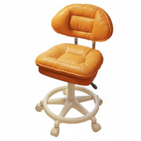 Height Adjustable Upholstered Shellspine Rolling Chair 360-Degree rotate Vanity Stool Ergonomic rear supportrest Household Furniture Plush Upholstery for Makeup lovers, Nail Technicians, Adults, Bedroom, changing area, Home Office