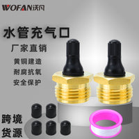 Lead-Free Brass Air Nozzle for RV Winterizing