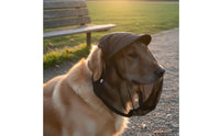 Dog Anti-Eating Mask Safeguarding Mesh Muzzle Humane Design for Walks