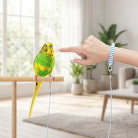 Parrot Leash with Elastic Bird Leash Cord, Foot Loop Harness Leash and Training Rope, Adjustable Training Design for Parrot Outdoor Training Activity