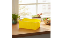 Bean Sprout Grower Box PP Material Soilless Sprout Grower Easy to Observe Feline Greens Planter for Indoor, Kitchen