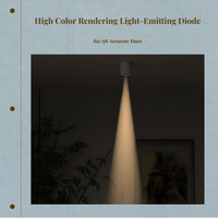 Adjustable LED Flush Mount Spotlight for Home & Office