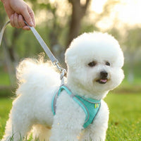 Dog Harness and Cat Harness with Dog Leash and Cat Leash Set, Nylon Vest Style Comfort No Pull Reflective Harness for Training Small Pets Outdoor