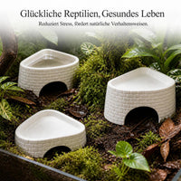 Reptile Hideout and Humidifying Cave for Lizards, Spiders, and Snakes
