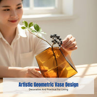 Geometric Glass Vase, Colored Concave Cube, Hydroponic, Modern Design