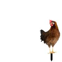 Chicken Garden Stake Outdoor Chicken Yard Art Cute for Flower Bed