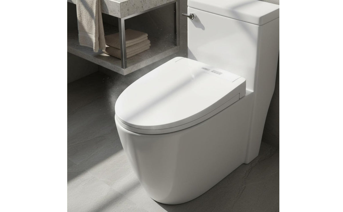 Instant Heating Smart Bidet Toilet Multi-Function Bidet Toilet Seat Multiple Cleaning Modes Handheld Controller Control