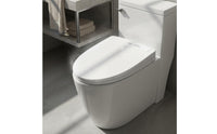 Instant Heating Smart Bidet Toilet Multi-Function Bidet Toilet Seat Multiple Cleaning Modes Handheld Controller Control