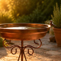 Freestanding Bird Bath Round Basin Freestanding Bird Feeder Weatherproof