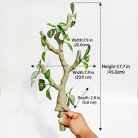 Jumping Arachnid Enclosure Accessories, Flexible Positioning Arboreal Branches for Decoration, 45cm Reptile Habitat Plant