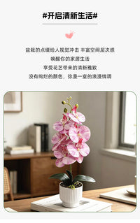 跨境大6朵蝴蝶兰仿真花盆景家居阳台玄关装饰3D手感假花盆栽绿植
