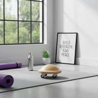 Turtleback Glider Effortless Gliding Spine Stretching Disc Silent Wheels