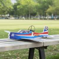 Rechargeable Foam Plane Plane | Drop-Resistant, Hand-Thrown Glider, for Park