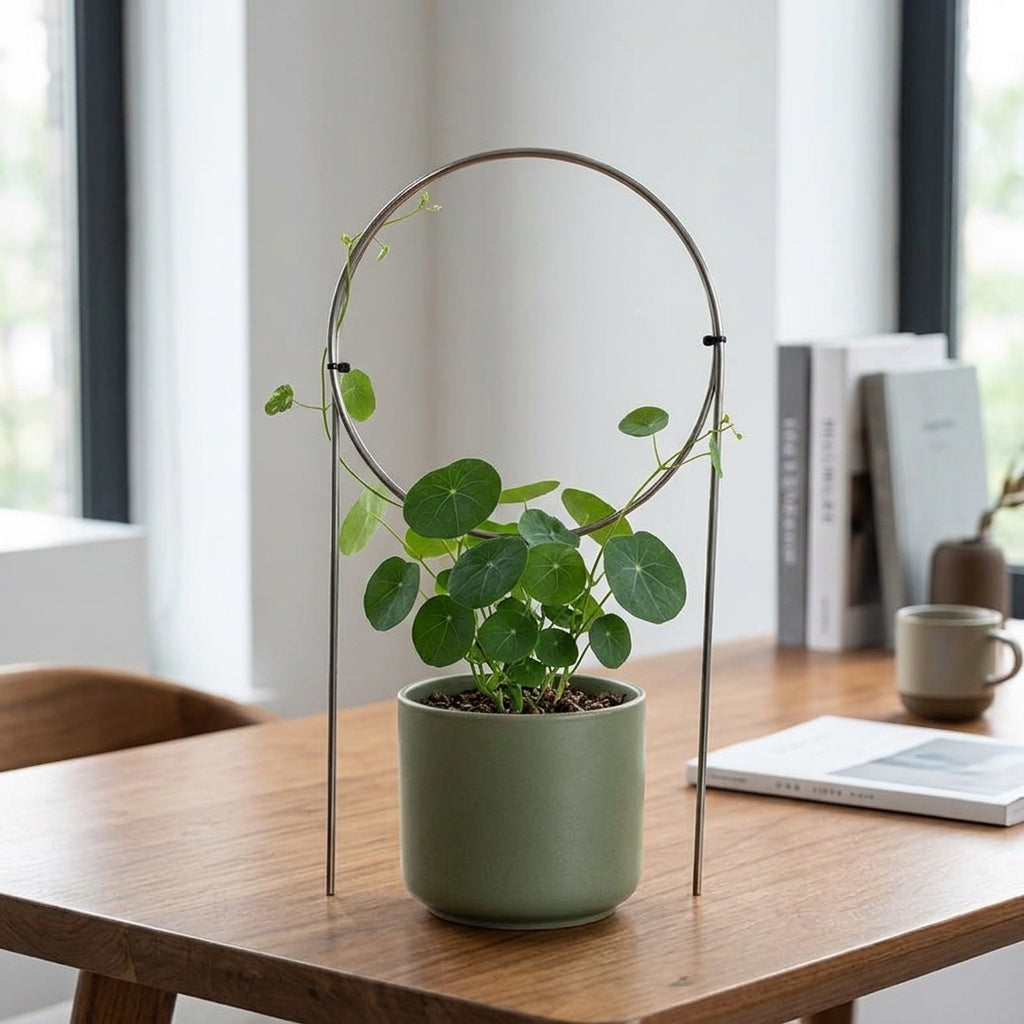 Indoor Plant Trellis, 30cm Heart Stainless Steel Trellis for Climbing Plants, Metal Plant Support for Vining Houseplants