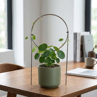 Indoor Plant Trellis, 30cm Heart Stainless Steel Trellis for Climbing Plants, Metal Plant Support for Vining Houseplants