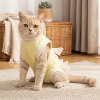 Cat Recovery Suit Post Surgery Pet Clothing with Ties, Abdominal Surgery Pet Suit, Post-Operative Pet Clothing for Anti-Licking Hospital Wear