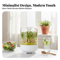 Bean Sprout Growing Kit Grow Crisp Sprouts Bean Sprout Grower Glass Sprout Grower Jar Stainless Steel Mesh Countertop Germinator