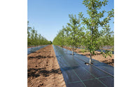 Unwanted Growth Barrier Cloth Permeable Unwanted Growth Planting Area Cover Thickened for Farmers, Gardeners, Greenhouse, Orchard, Agriculture