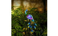 Peacock Solar Light Decorative Lights Sturdy for Courtyard