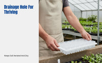 Mini Plastic Square Pot, Sprout Tray, Thumb Base Control, Lithops Nursery, Home Gardening