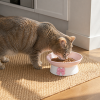 Elevated Ceramic Pet Bowl for Cats and Small Dogs - Tilted Wide Mouth Food and Water Dish
