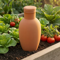 4 Pieces Terracotta Olla Clay Olla Pot Automatic for Travelers