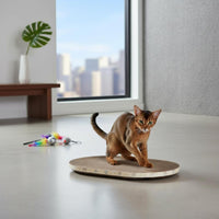 Long-Lasting Corrugated Cardboard Cat Scratcher 2 in 1 Multipurpose Oval Cat Scratching Board for Large Cats