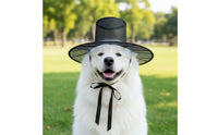 Mesh Top Hat Breathable Mesh Hat with Chin Tie Airy for Cosplayers, Performers