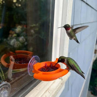 Window Suction Cup Bird Feeder Easy Observation Suction Cup Hummingbird Feeder