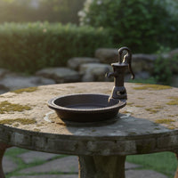 Vintage Hand Pump Bird Feeder Outdoor Garden Decor for Yard, Patio
