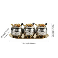 3 Pieces Condiment Jars with Tray Stainless Steel for Kitchen Countertop