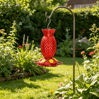蜂鸟喂水器鸟喂食器户外花园野生鸟类喂食工具Hummingbird Feeder