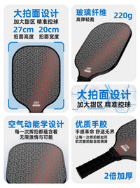 Pickleball Paddle Official Flagship Store Professional Pickleball Paddle Set Complete
