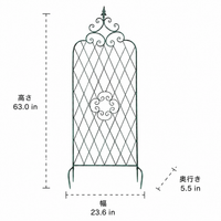 Iron Garden Arch Trellis 160x60cm Clematis Rose Training Fence
