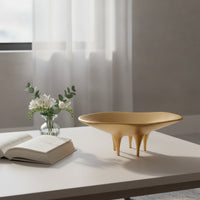 Irregular Decorative Tray Polished Catchall Elegant for Tabletop