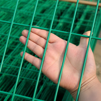 wire mesh fence