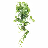 Artificial Trailing Greenery Indoor Decoration Greenery Vine Floral Arrangement Home Decor