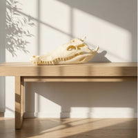 Resin Crocodile Skull Ornament Bone-Like Crocodile Skull Tabletop Sculpture Classy-Looking for Collectors, Decorators, Living Room, Study, Tea Table