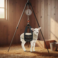 Livestock Weighing Sling Lightweight Calf Weighing Sling Hook-and-Loop Closure