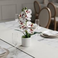 Artificial Bloom Plant Maintenanceno-Maintenance Phalaenopsis Flower Pot