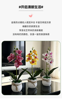 新款中元宝盆5朵蝴蝶兰塑料盆景室内家居客厅摆设仿真花绿植盆栽