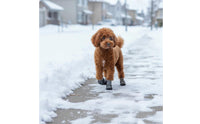 4 Pieces Small Dog Boots Wear-Resistant Waterproof Dog Shoes Reflective Strip Pet Supplies for Snowy