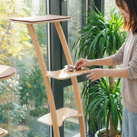 Cat Climbing Frame with 3-Tier Perch and Bed, Solid Wood Freestanding Activity Center for Indoor Cats to Use by a Window Sill